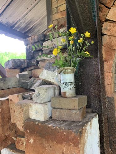 Des fleurs pour le four